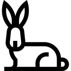 动物