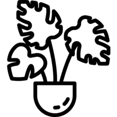 植物