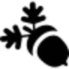 Acorn