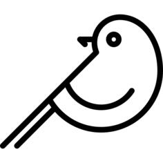 bird