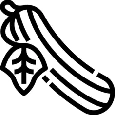 Cucumber