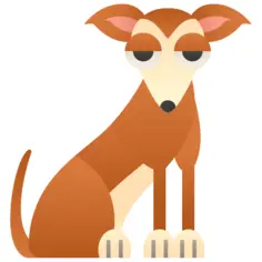 惠比特犬