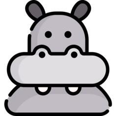 Hippopotamus