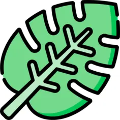 丛林