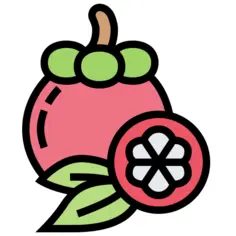 山竹