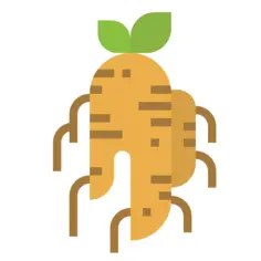 参