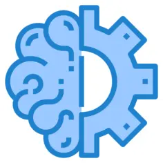 Brain