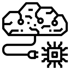 Brain