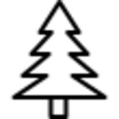 Pine
