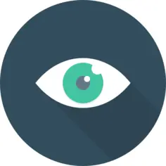 眼睛