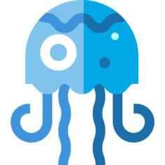 Jellyfish