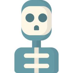 Skeleton