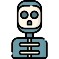 Skeleton
