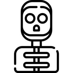 Skeleton
