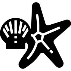海星