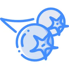 浆果