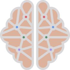 Human brain
