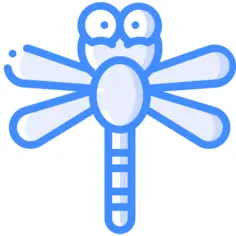 Dragon fly