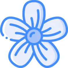 Blossom
