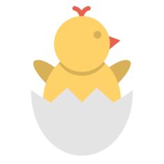 小鸡