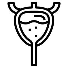 Bladder