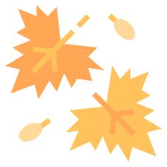 Maple leaf