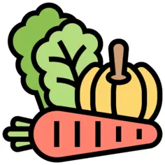 蔬菜