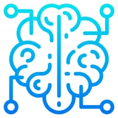 Brain
