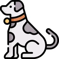 狗