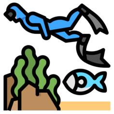 Scuba
