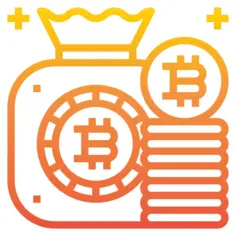 Bitcoin bag