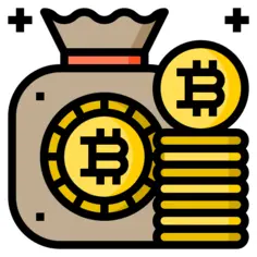 Bitcoin bag