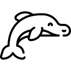 Dolphin