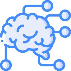 Brain