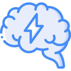 Brain