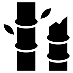Bamboo