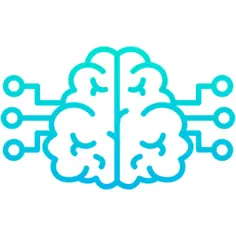 Brain