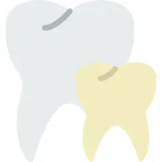 Teeth