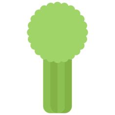 Celery