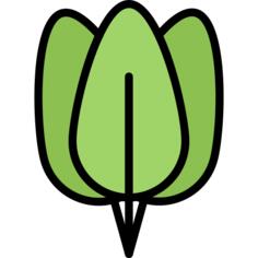 菠菜