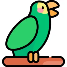 鹦鹉