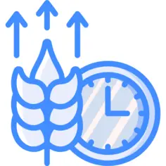 生长