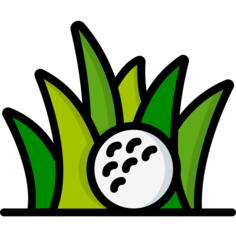 高尔夫球