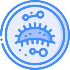 Bacteria