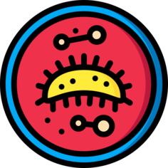 Bacteria