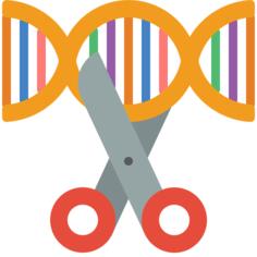 Dna
