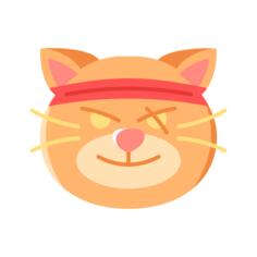 猫