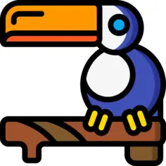 Toucan
