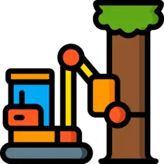 Deforestation