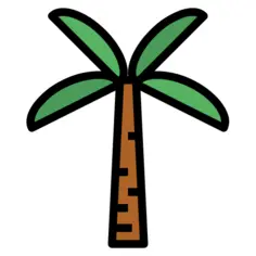 Palm tree